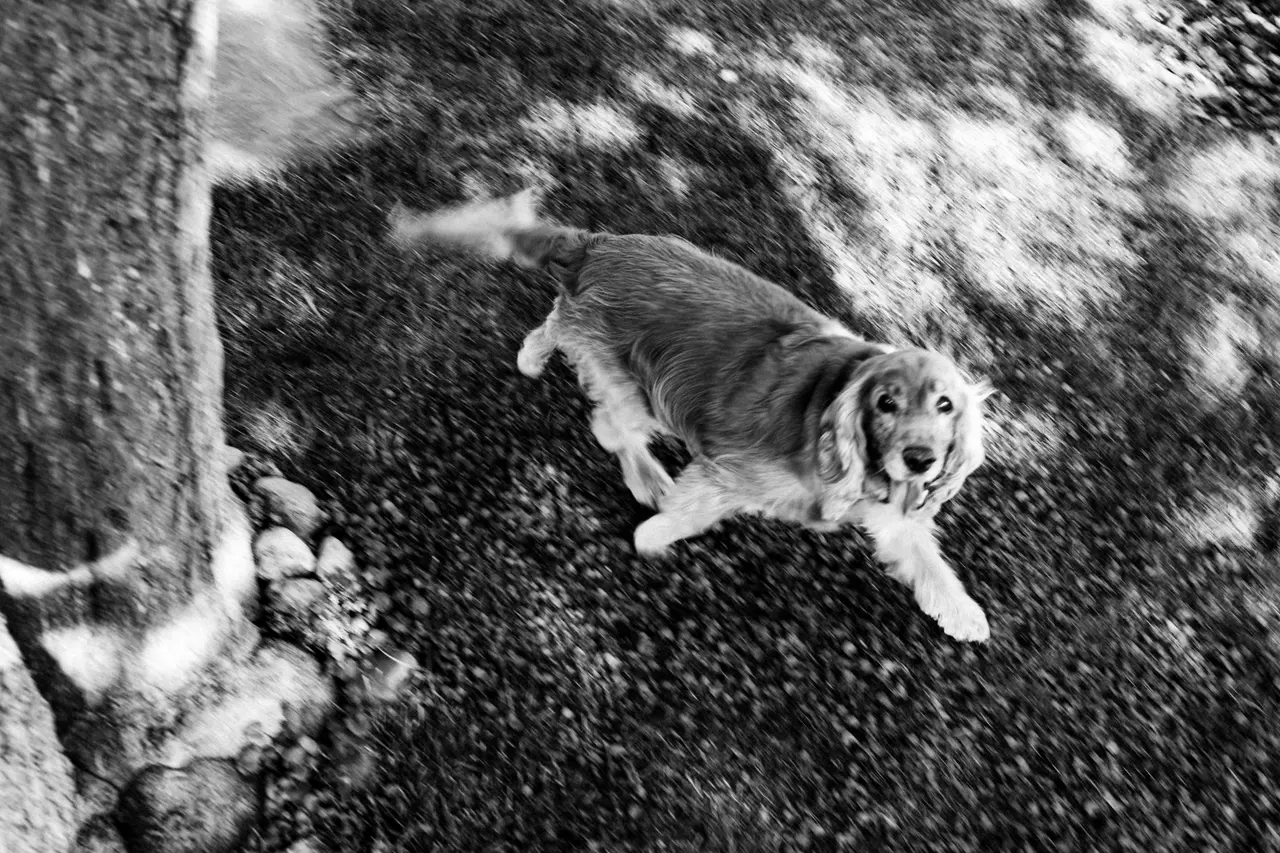 Matteo & Elena, foto 5
