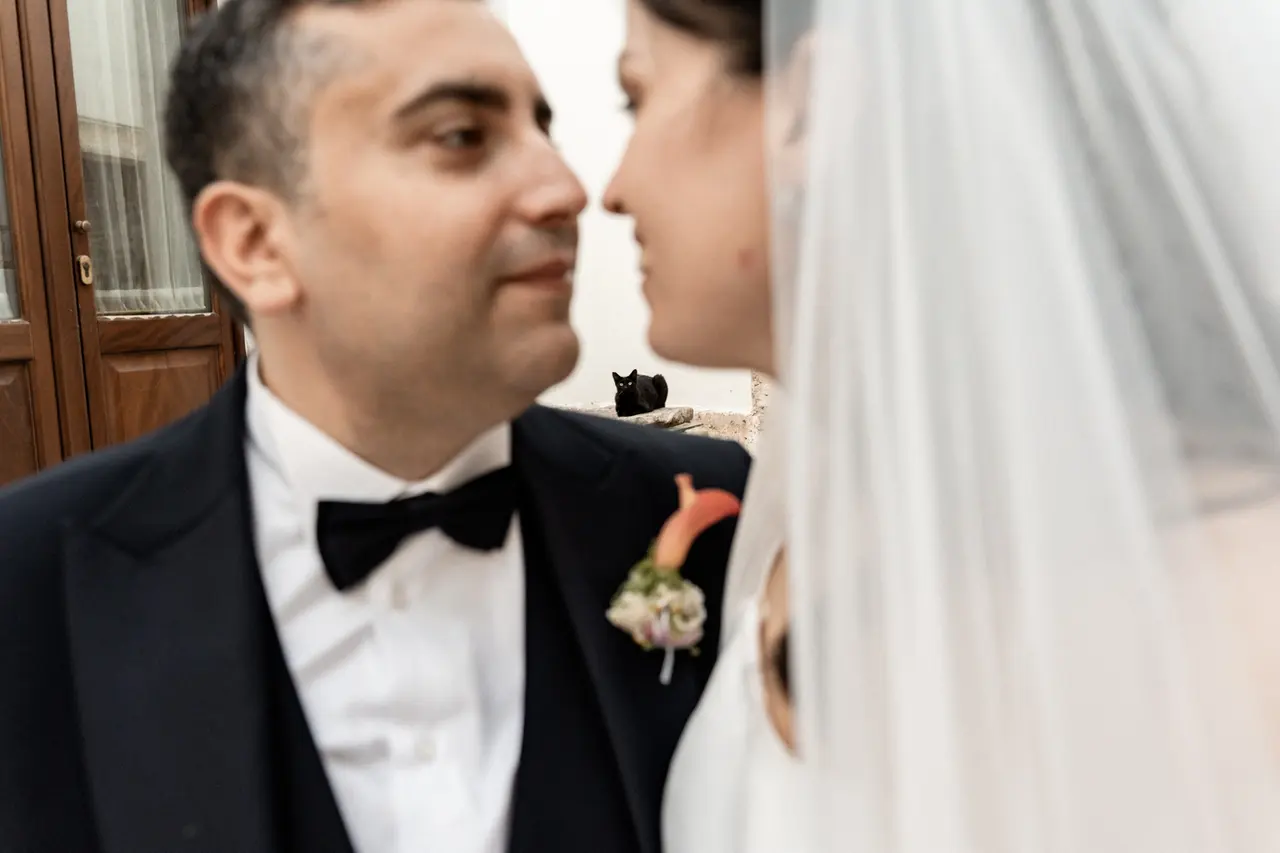 Francesco & Francesca, foto 52