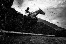 Un cavallo salta l'ostacolo al GP di Merano